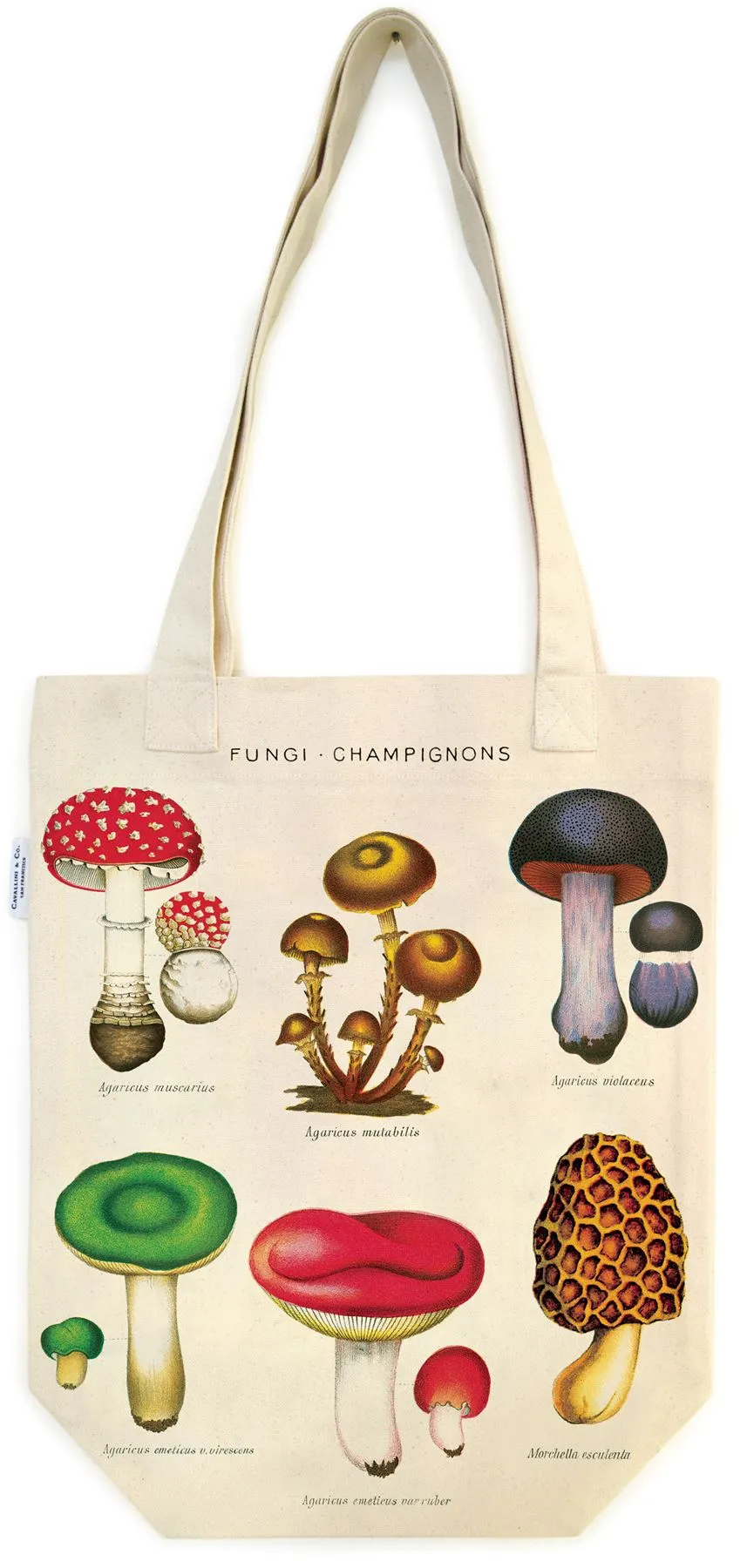 Cavallini - 100% Natural Cotton Vintage Tote Bag - 33x40.5cms - Mushrooms/Fungi